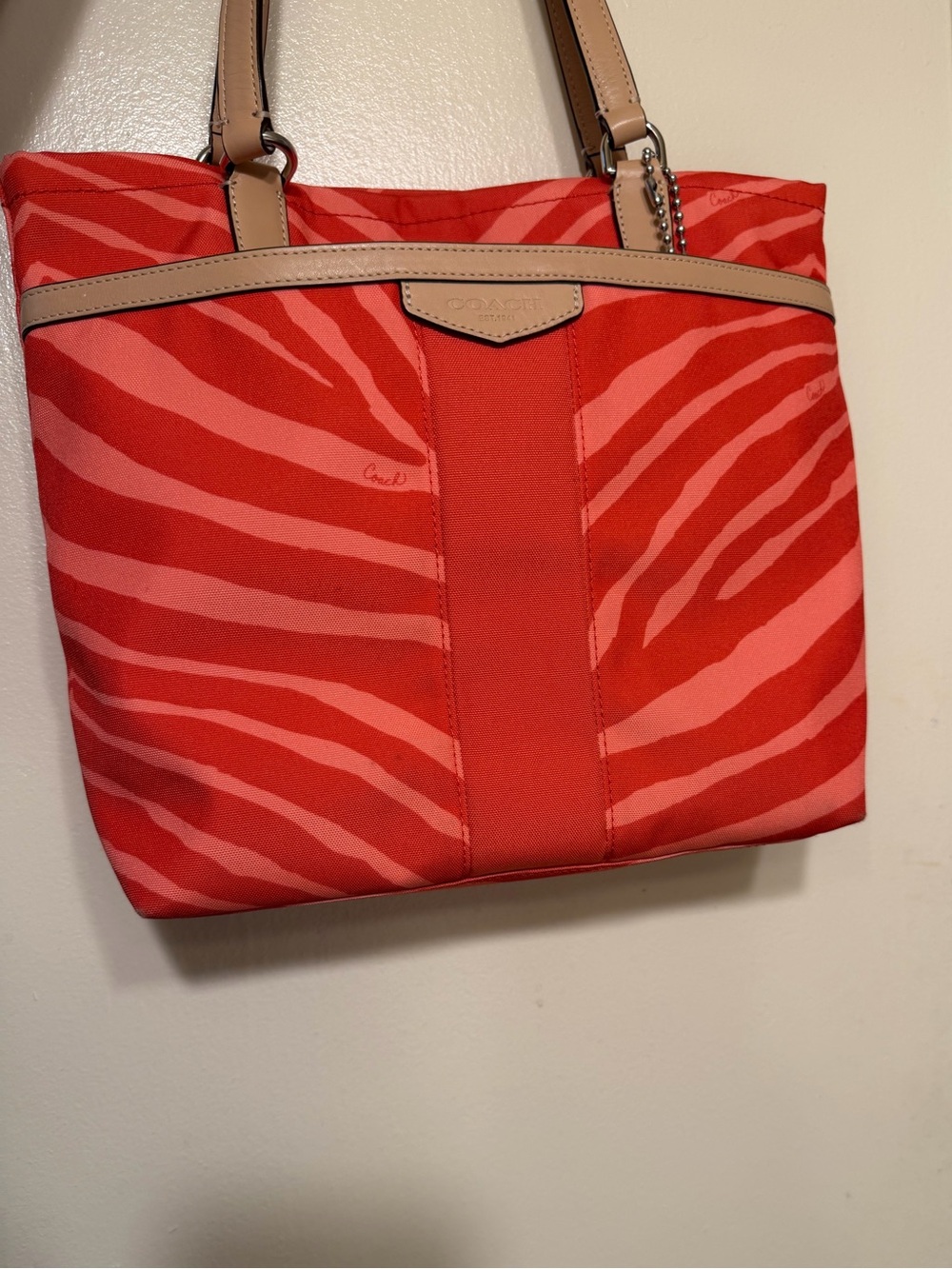 Coach Signature Zebra Stripe Canvas Tote Bag